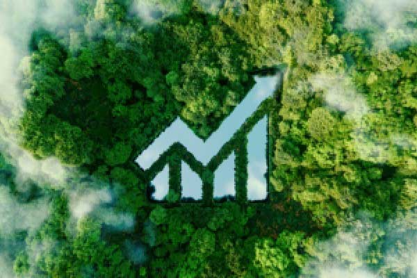 代销新规即将实施 已有银行抢先行动